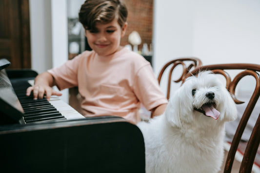 ¿Qué instrumento debería elegir según la personalidad de mi hijo?